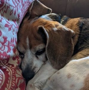 Meet your Posher, Ursula